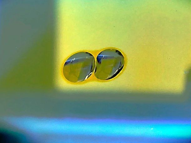 Científicos del Conicet descubrieron un comportamiento inédito del agua