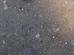 se encuentran con un perrito de la pradera atrapado en una ruta: mira el video se encuentran con un perrito de la pradera atrapado en una ruta: mira el video