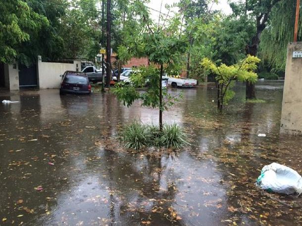 Se registran anegamientos y caída de árboles tras el fuerte temporal