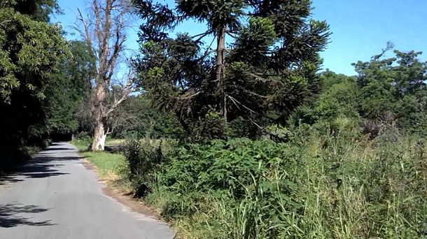 Lomas de Zamora: violaron a una mujer en la reserva Santa Catalina