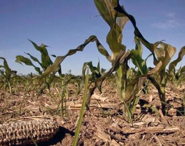 Declararon el fin de La Niña: ¿se terminó la ola de calor?
