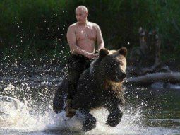 Los imperdibles memes por el oso amaestrado de Putin en TN