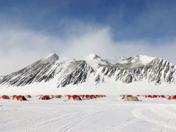 Buscan a cinco voluntarios para explorar la Antártida. Foto:&nbsp;&nbsp;Airbnb