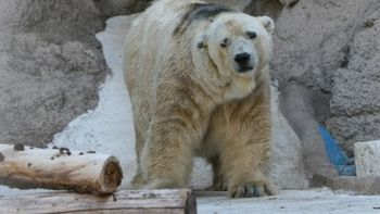 Foto: gentileza El Sol Foto: gentileza El Sol