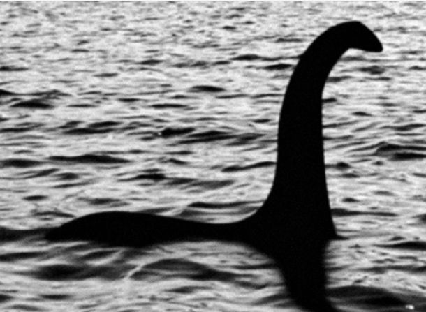 Creen que el Monstruo del Lago Ness es un bagre gigante