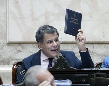 No la ven: la furia de Facundo Manes tras la media sanción a la Ley Ómnibus