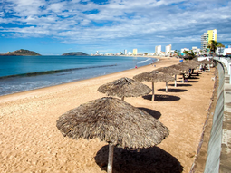 California. California.