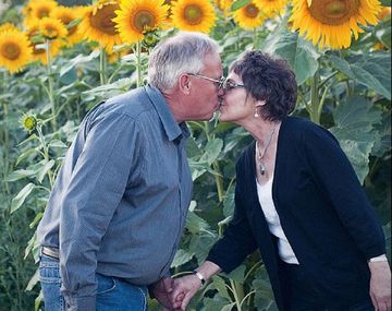 Plantó miles de girasoles en honor a su esposa fallecida