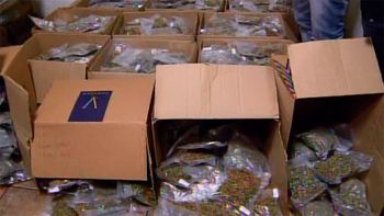 operativo mansion verde: se nego a declarar el matrimonio acusado operativo mansion verde: se nego a declarar el matrimonio acusado