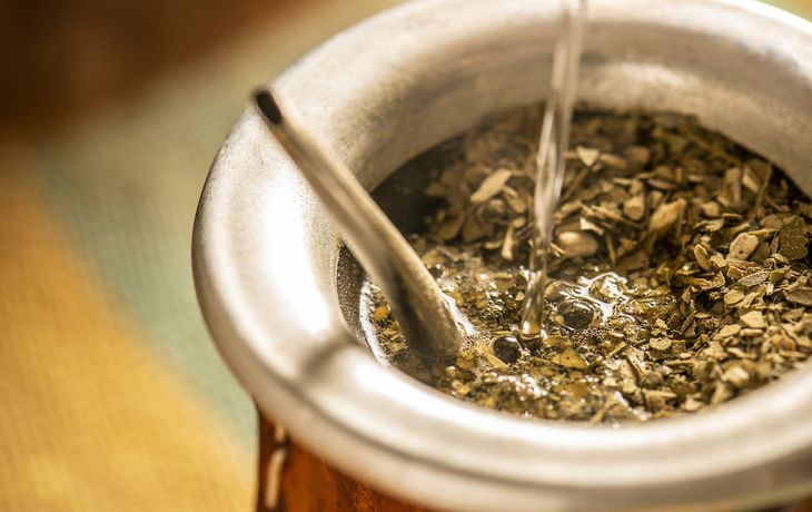 Por qué hoy es el Día del Mate
