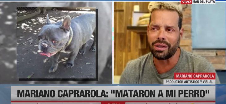 Desgarrador testimonio de Mariano Caprarola: dejó a su perro en un hospedaje y se murió