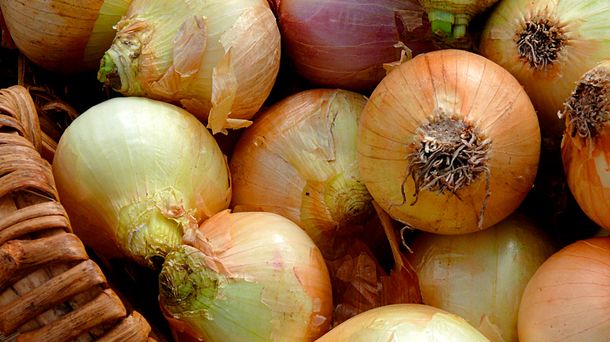 ¡Carísimo! El kilo de cebolla se vende hasta por 30 pesos