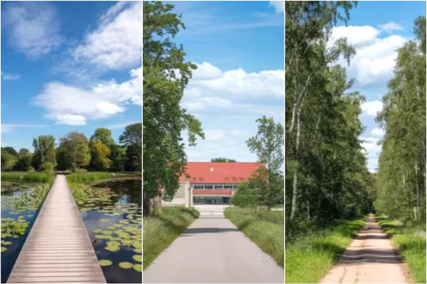 El camino que elijas va a determinar si vas a poder concretar tus sueños