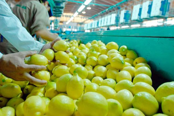 Argentina denunciará a EE.UU. por restricciones a importaciones