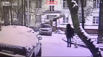 Murió una joven a la que se le cayó un árbol en la cabeza Murió una joven a la que se le cayó un árbol en la cabeza