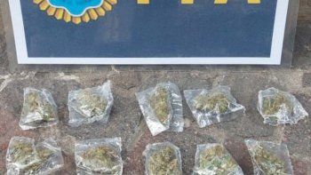 la policia federal detuvo a un joven en el lollapalloza por vender marihuana