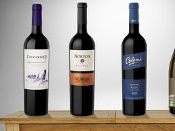 Los cuatro aportes argentinos Los cuatro aportes argentinos