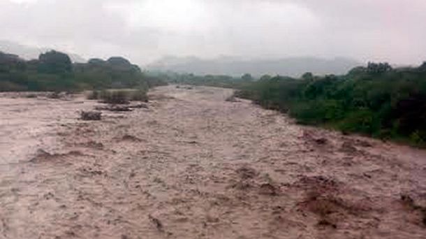 Gentileza diario El Tribuno.