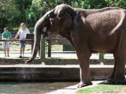 Zoológico de La Plata