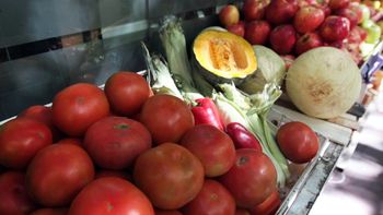 del mercado central a la ensalada, cuanto varia el precio del tomate del mercado central a la ensalada, cuanto varia el precio del tomate