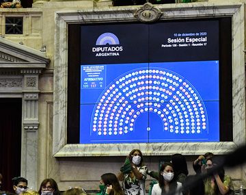 Aborto legal: cómo votó cada diputado