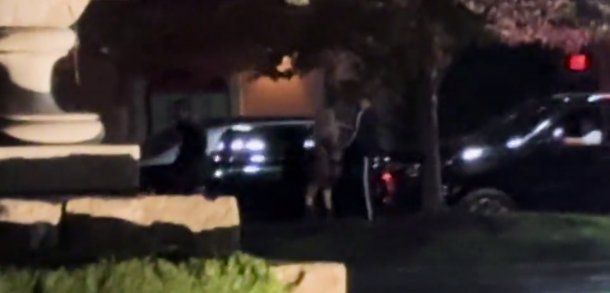 Taylor Swift y su novio fueron a comer a un restaurante argentino