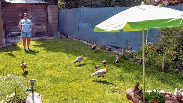 Gentileza Ríonegro.com