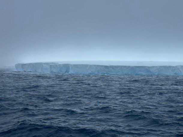 El iceberg más grande del mundo quedó inmovilizado cerca de las islas Georgias del Sur