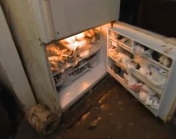 Terry no puede separarse de sus gatos