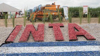 mas ajuste: milei abrio un plan de retiros voluntarios para los trabajadores del inta