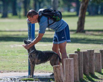 Se viene la primera ola de calor en Buenos Aires: cuándo llega y qué precauciones tomar