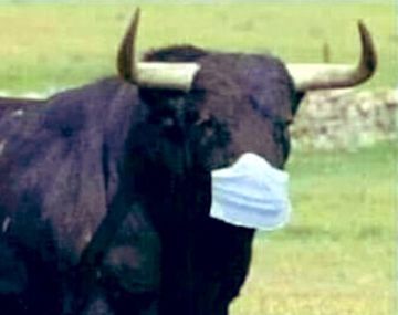 Contó que su novia borra WhatsApp e Instagram cuando se ven y lo llenaron de memes