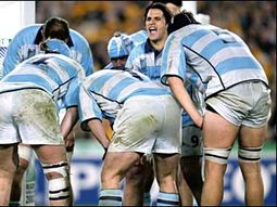 Pumas,
