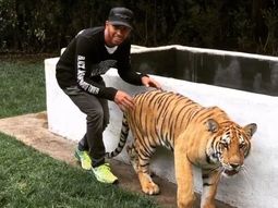 Hamilton demostró que no le teme a nada, asustó a un tigre y sobrevivió