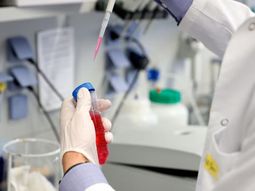 Coronavirus: Daniel Gollan adelantó que se probarán dos o tres vacunas en Argentina