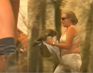 VIDEO: Dramático rescate de un koala que huía de los incendios en Australia