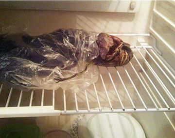 Alien Rusia freezer 1