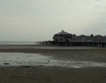 Horror en Quilmes: hallan animales muertos y mutilados a orillas del río