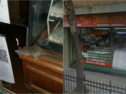 Así vieron los vecinos la vidriera de una panadería en Caballito