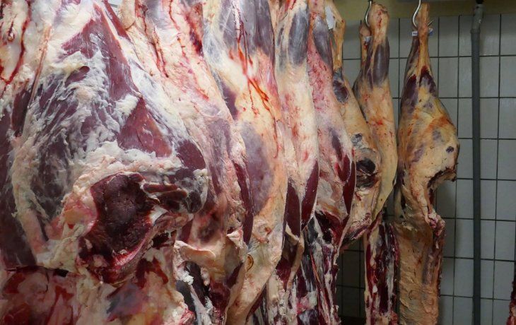 Córdoba: declararon la quiebra de la empresa frigorífica La Taba SRL