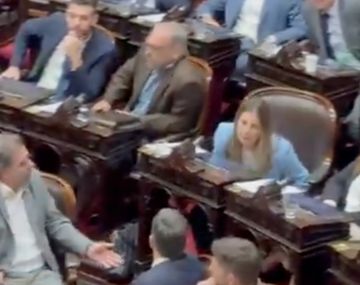 Diputados del PRO cruzaron a Lospennato por votar contra los vetos de Milei