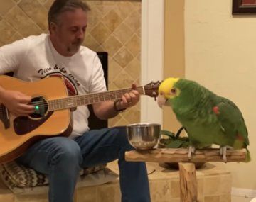 Un loro que canta rock se hizo viral