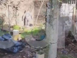 asi es por dentro la casa de florencio varela donde mataron a brenda, lara y morena