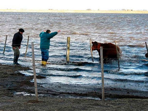 La crecida en los alrdedores de Bolívar (Gentileza: Clarín)
