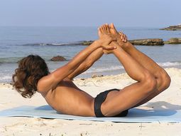 Yoga Web