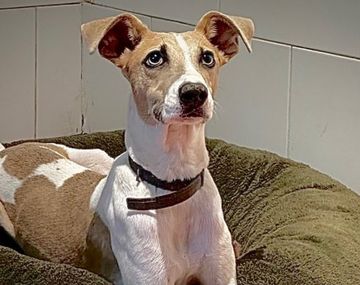 Susto en GH: Arturo casi se ahoga mientras comía tras ver a Martín 