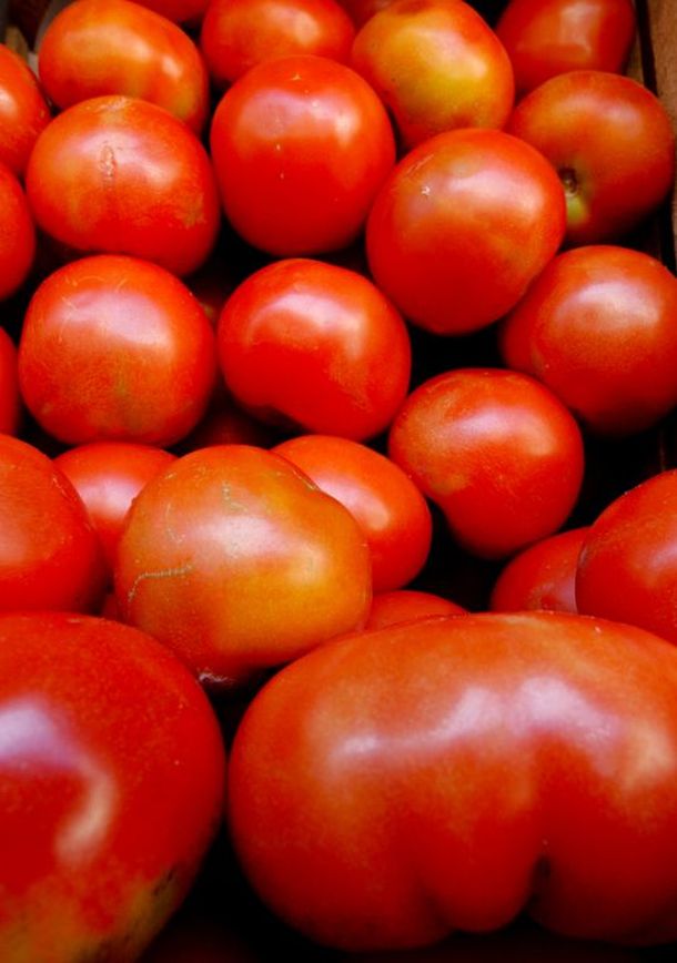 TOMATES