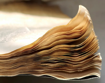 &nbsp;El truco casero y sencillo para secar libros y papeles mojados