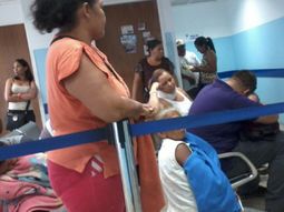 oms declara al virus de zika emergencia sanitaria mundial oms declara al virus de zika emergencia sanitaria mundial