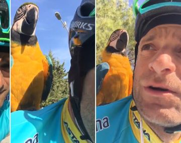 El loro que espera al fallecido ciclista con el que entrenaba